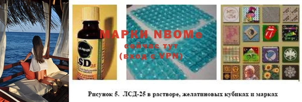 стафф Аркадак