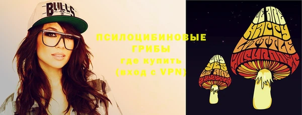 дживик Арсеньев