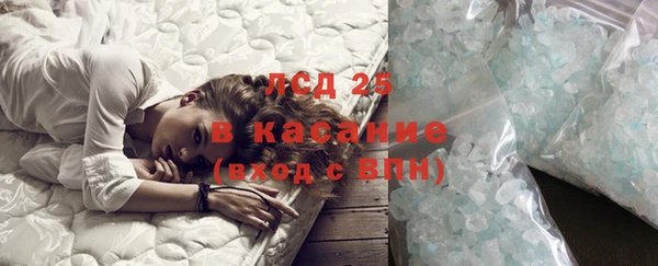 стафф Аркадак