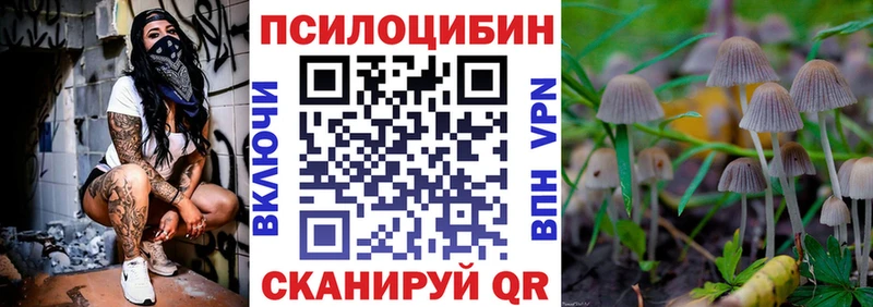 MEGA зеркало купить Облучье Псилоцибиновые грибы прущие грибы